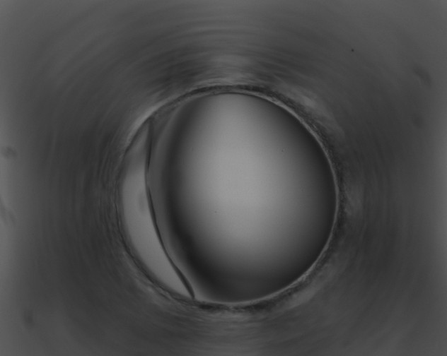 X0000090871073200708031004