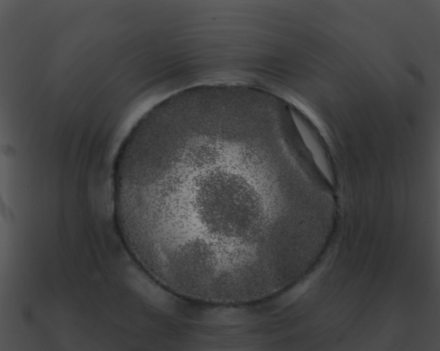 X0000090871075200708031004