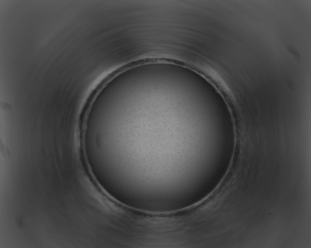 X0000090871076200708031004