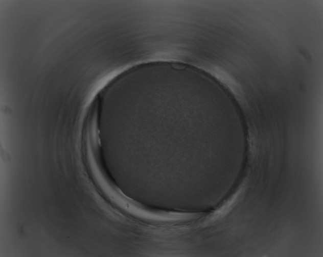 X0000090871077200708031004