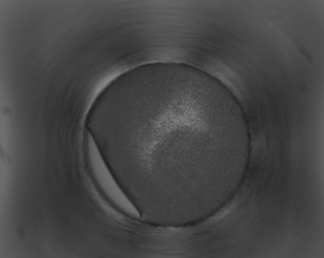 X0000090871079200708031004