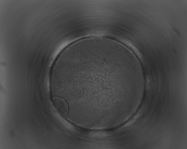 X0000090871083200708031004