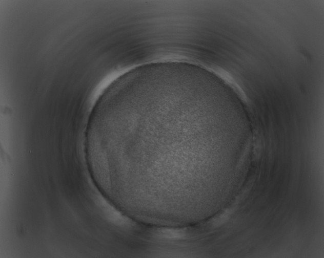 X0000090871086200708031004