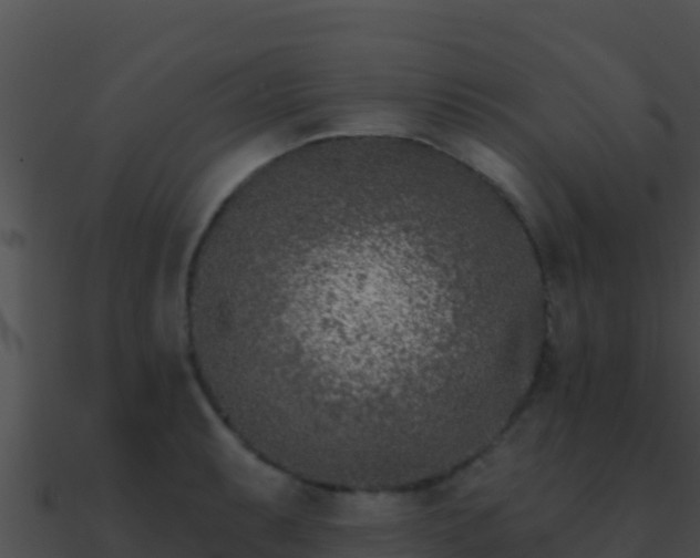 X0000090871087200708031004