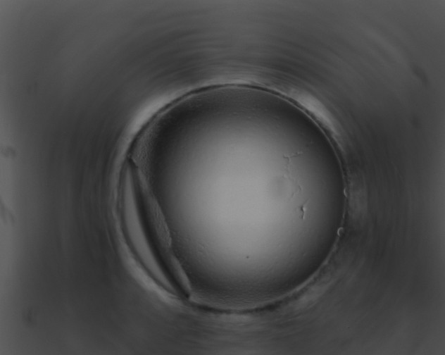 X0000090871088200708031004