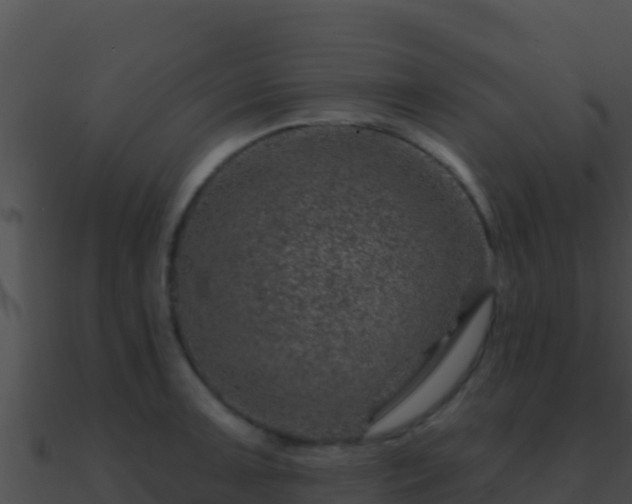 X0000090871091200708031004