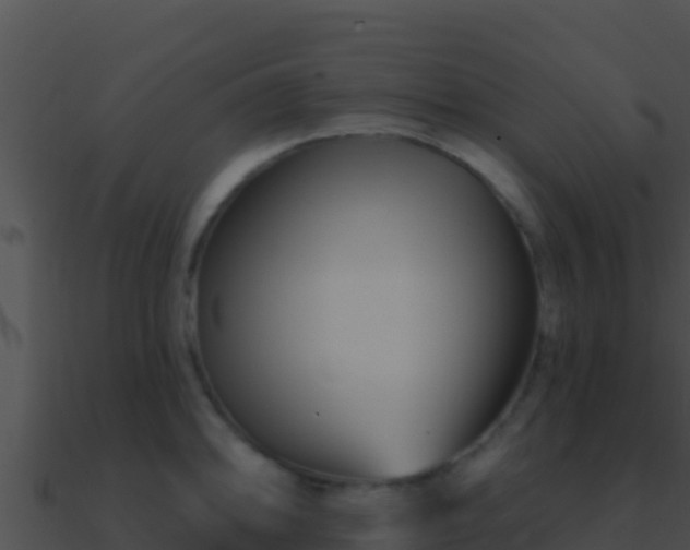 X0000090871094200708031004