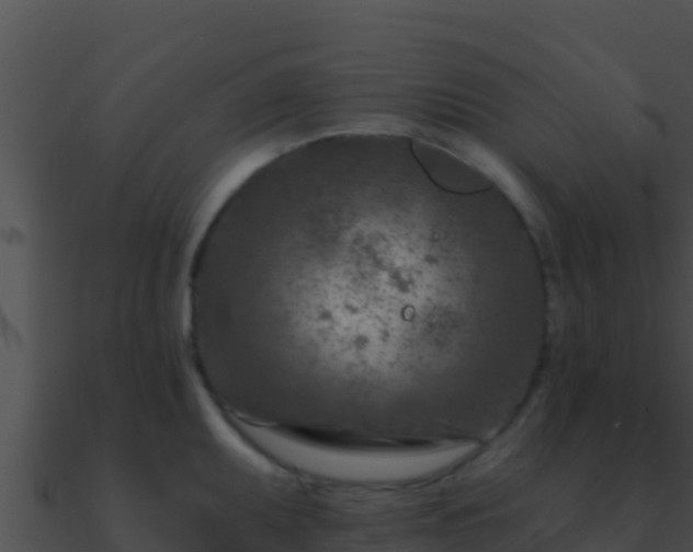 X0000090871095200708031004