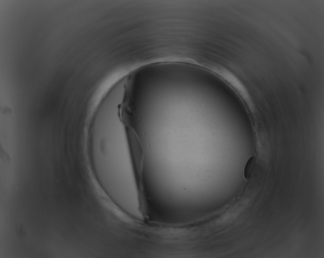 X0000090871096200708031004