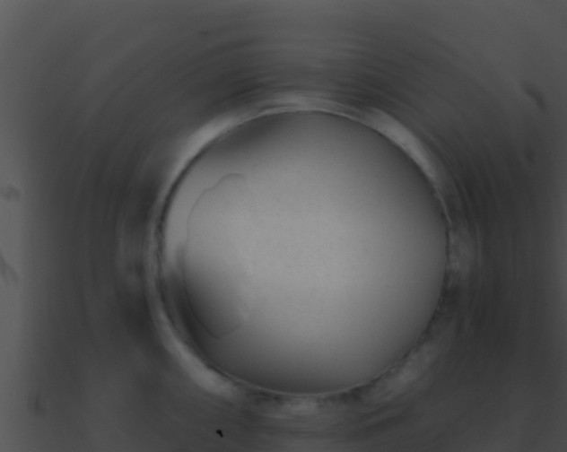 X0000090871098200708031004