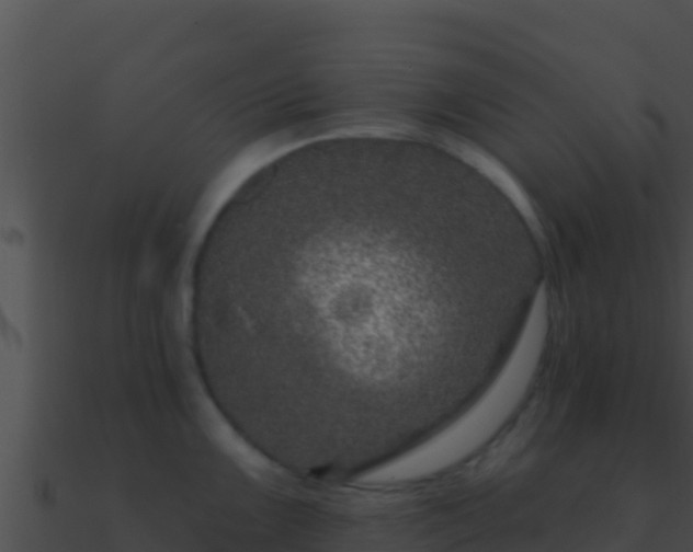 X0000090871099200708031004