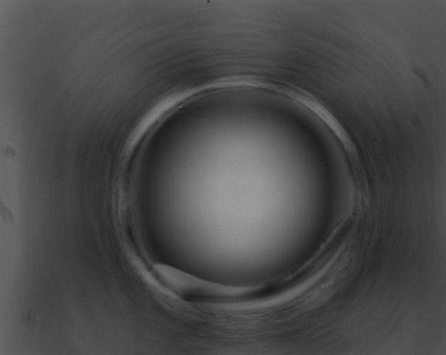 X0000090871101200708031004