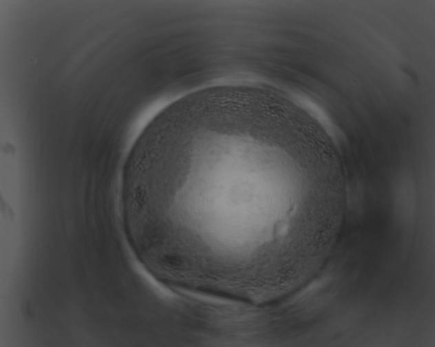 X0000090871103200708031003