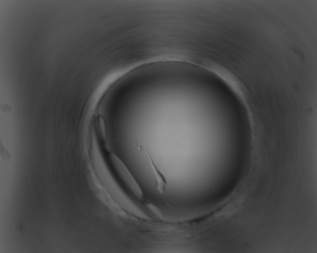 X0000090871104200708031003