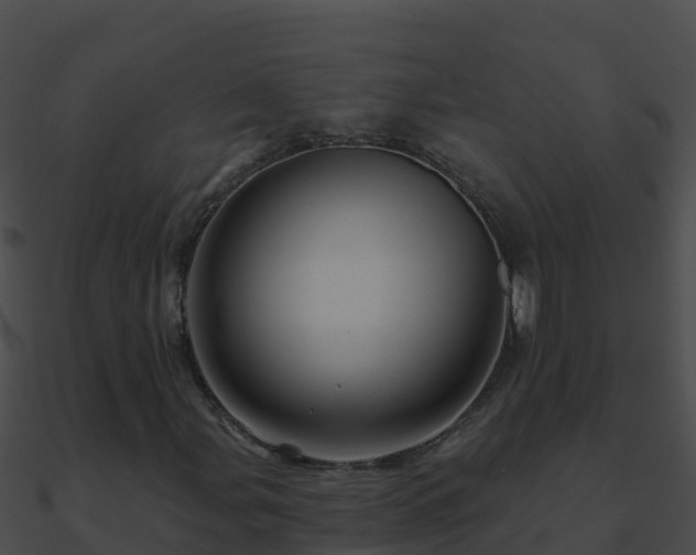 X0000090871107200708031003