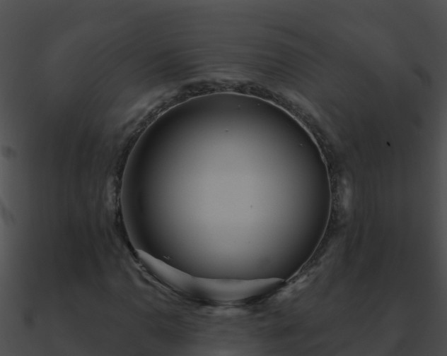 X0000090871110200708031003