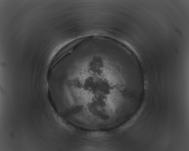 X0000090871117200708031003