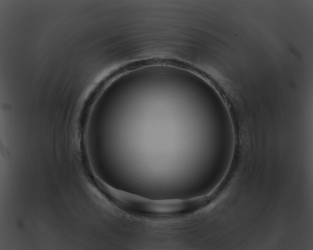 X0000090871118200708031003