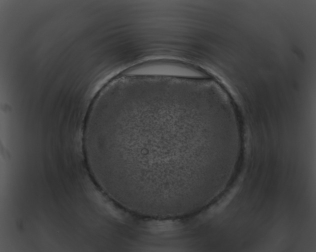 X0000090871121200708031003