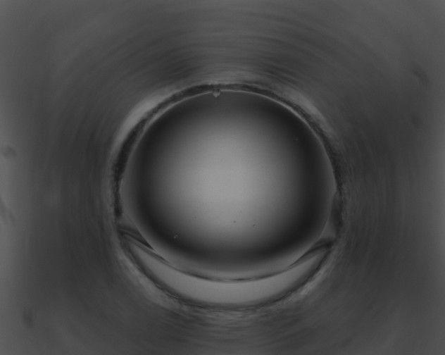 X0000090871122200708031003