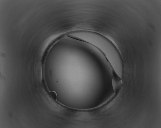 X0000090871123200708031003