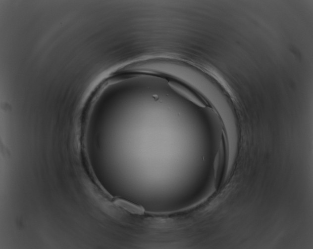 X0000090871124200708031003