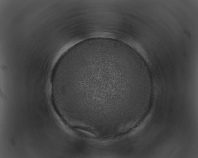 X0000090871125200708031003