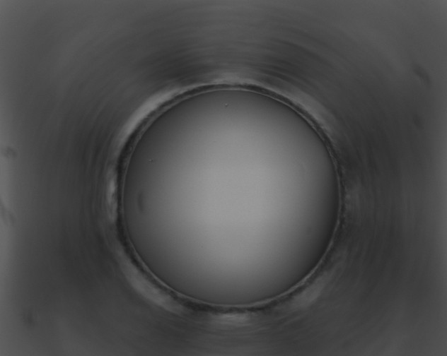 X0000090871126200708031003