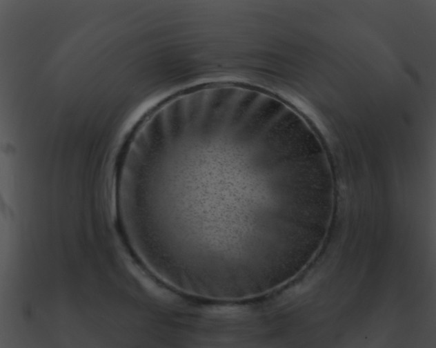 X0000090871127200708031003