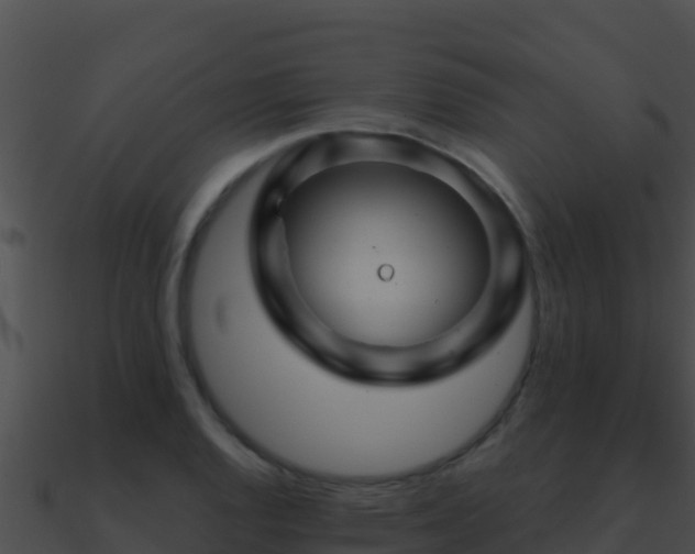 X0000090871128200708031003