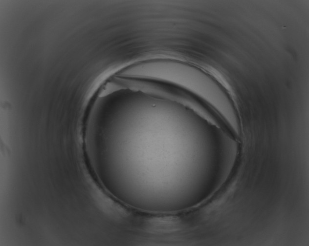 X0000090871133200708031003