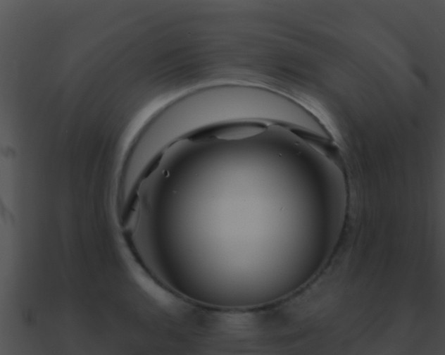 X0000090871136200708031003