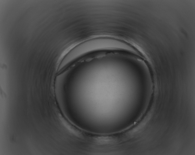 X0000090871137200708031003