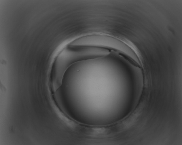 X0000090871144200708031003