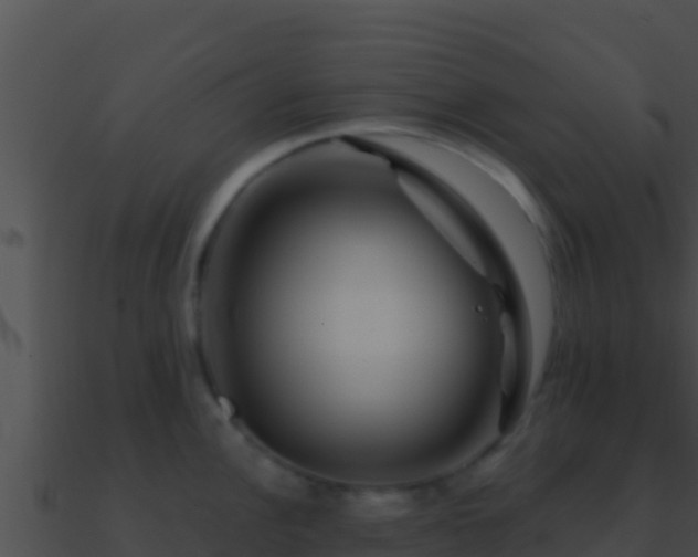 X0000090871148200708031003