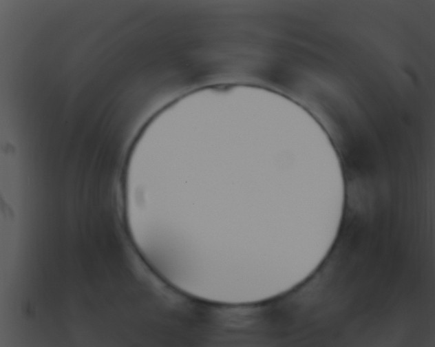 X0000090871150200708031003