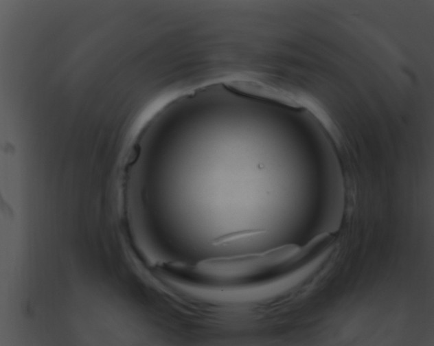 X0000090871151200708031003