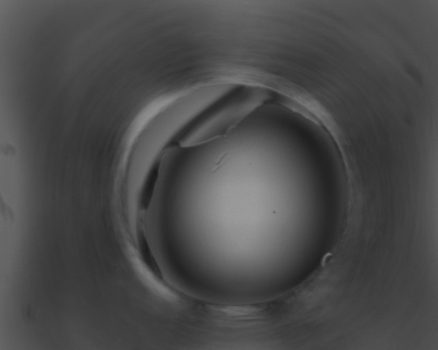 X0000090871152200708031003