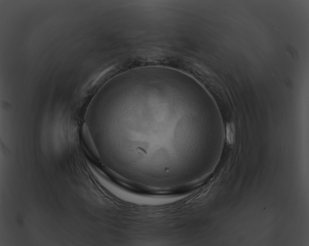 X0000090871155200708031003