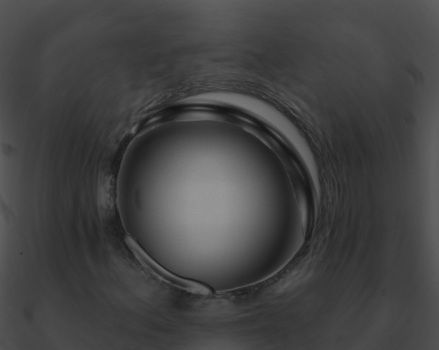 X0000090871156200708031003