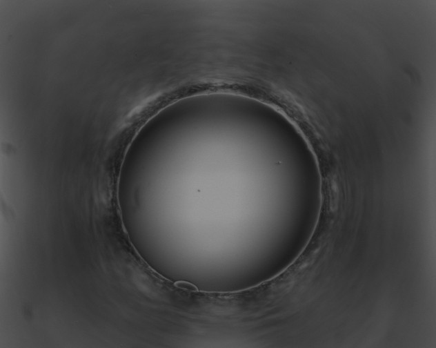 X0000090871158200708031003