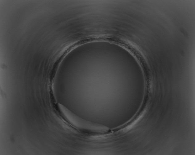 X0000090871161200708031003