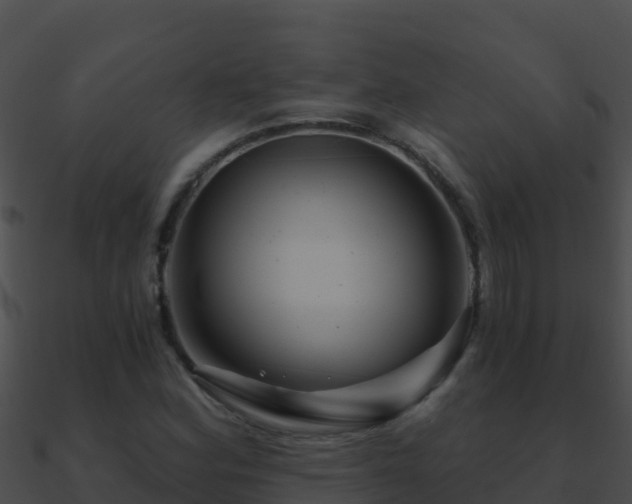 X0000090871164200708031003