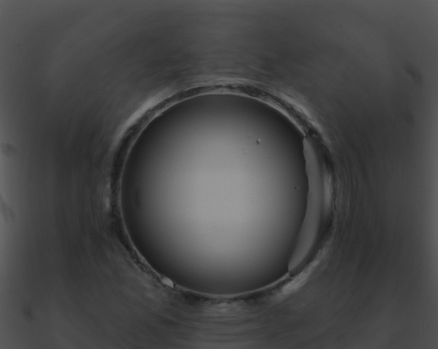 X0000090871165200708031002