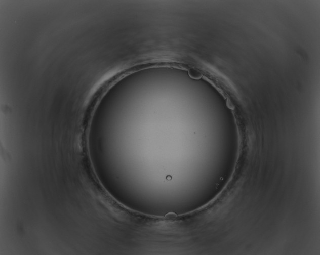 X0000090871166200708031002