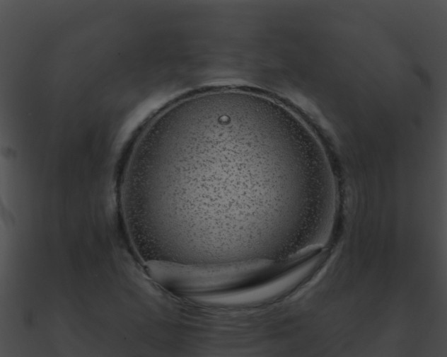 X0000090871167200708031002