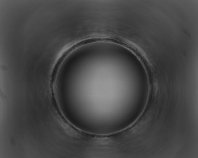 X0000090871168200708031002