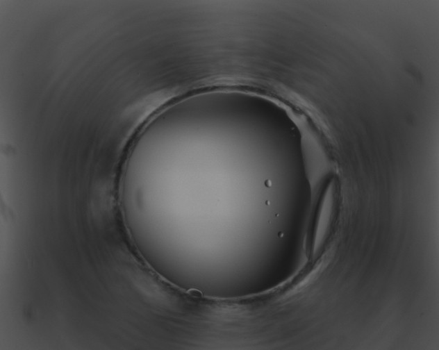 X0000090871170200708031002