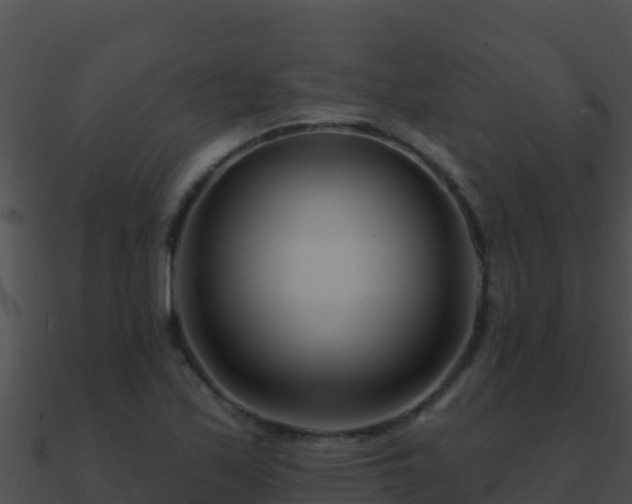 X0000090871171200708031002