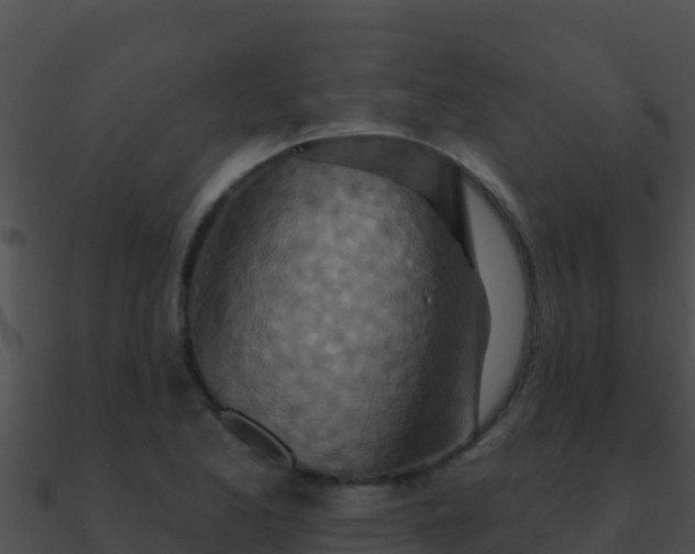 X0000090871173200708031002